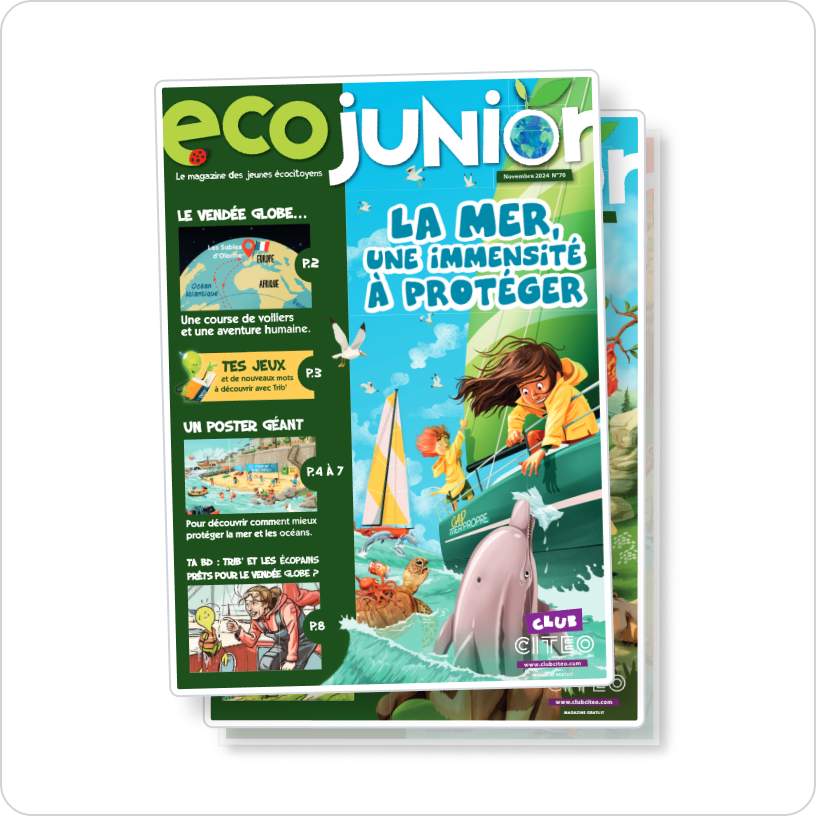 Ecojunior  vignette
